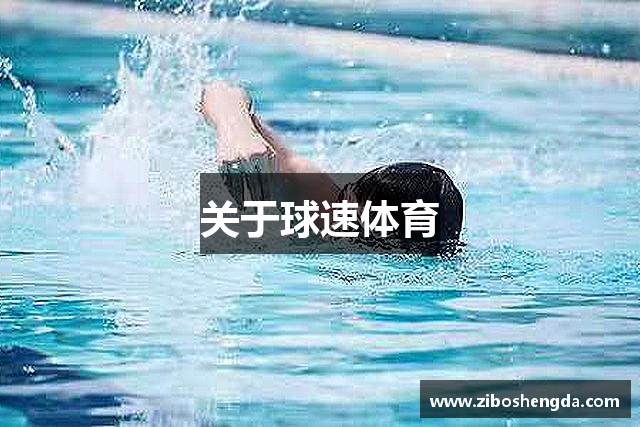 关于球速体育